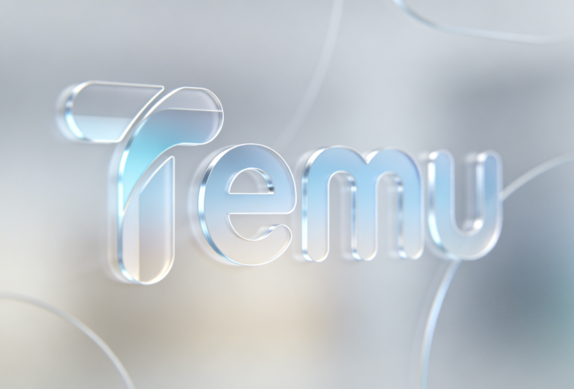 temu网页版登陆不了怎么办？temu网页版打不开解决方法？