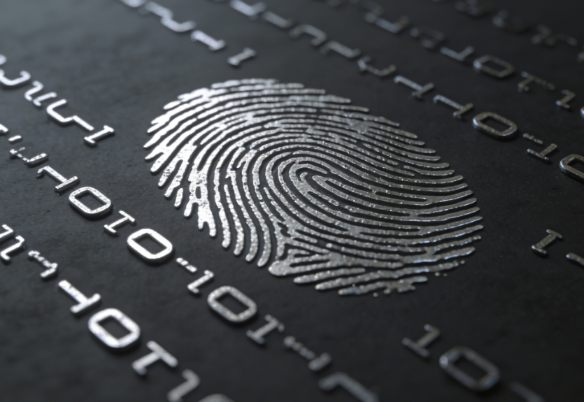 指纹浏览器多少钱一个月？指纹浏览器的作用有哪些？